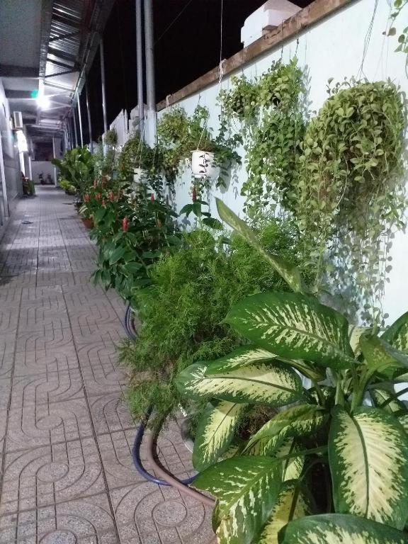 Nha Nghi Nguyen Anh Hotel Long Hai Kültér fotó